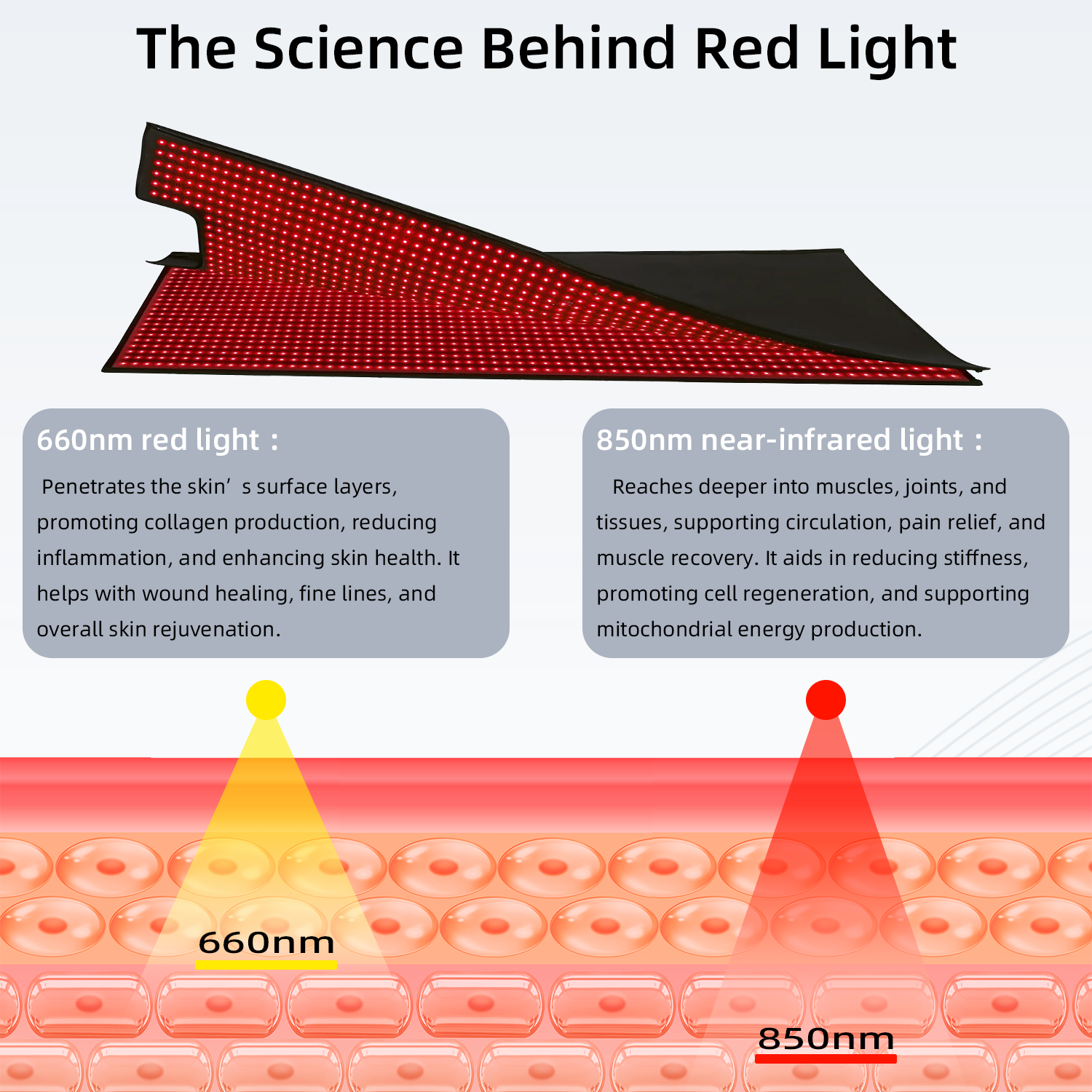 Red and Infrared Light Therapy Bag for Whole-Body Care